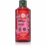 Yves Rocher Brillance Juuksetoonik s&auml;ravate ja pehmete juuste jaoks 400 ml