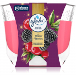 GLADE Winter Berries l&otilde;hnak&uuml;&uuml;nal 204 g