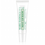 Mario Badescu Mint Lip Balm &Uuml;litoitev huulepalsam 10 g