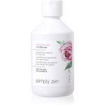 Simply Zen Smooth & Care Conditioner Silendav palsam k&auml;harate juuste hoolduseks 250 ml