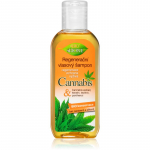 Bione Cosmetics Cannabis Taastav &scaron;ampoon 80 ml