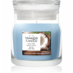 Yankee Candle Salted Coconut l&otilde;hnak&uuml;&uuml;nal Signature 110 g