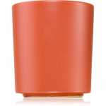 Milkhouse Candle Co. Earth & Ember Golden Pumpkin l&otilde;hnak&uuml;&uuml;nal 369 g
