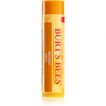 Burt&rsquo;s Bees Lip Care Huulepalsam meega (with Honey & Vitamin E) 4,25 g
