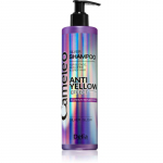 Delia Cosmetics Cameleo Silver &Scaron;ampoon kollaste toonide neutraliseerimiseks 250 ml
