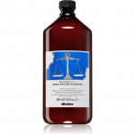 Davines Naturaltech Rebalancing Shampoo S&uuml;gavpuhastav &scaron;ampoon rasusele peanahale 1000 ml