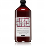 Davines Naturaltech Replumping Conditioner Niisutav palsam kammimise kergendamiseks 1000 ml