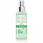 Saloos Floral Water Lemon Balm 100% Rahustav &otilde;ievesi naha uuendamiseks 100 ml