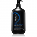 Syoss Intense Anti-Dandruff K&otilde;&otilde;mavastane &scaron;ampoon kuivale ja s&uuml;gelevale peanahale 750 ml