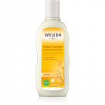 Weleda Oat Taastav &scaron;ampoon kuivadeleja kahjustatud juustele 190 ml