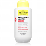 Yellow Professional Color Care Maintenance Shampoo &Scaron;ampoon v&auml;rvitud juustele 500 ml