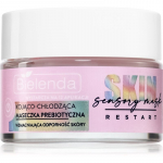 Bielenda Skin Restart Sensory Mask Rahustav n&auml;omask jahutava toimega 50 ml