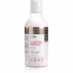 so!flow Smoothing Shower Shake Du&scaron;igeel k&otilde;igile nahat&uuml;&uuml;pidele Pithaja & Pomegranate 400 ml