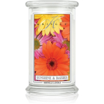 Kringle Candle Classic Sunshine & Daisies l&otilde;hnak&uuml;&uuml;nal 623 g