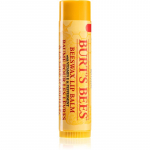 Burt&rsquo;s Bees Lip Care Huulepalsam mesilasvahaga (with Vitamin E & Peppermint) 4.25 g