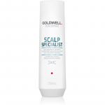 Goldwell Dualsenses Scalp Specialist Puhastav &scaron;ampoon k&otilde;&otilde;ma vastu 250 ml