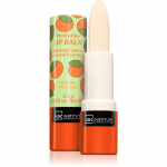 IDC Institute Skin Food Huulepalsam varjund Mango 3.5 g