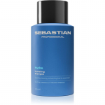 Sebastian Professional Hydre &Scaron;ampoon kuivadele ja kahjustatud juustele 280 ml