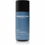 Sebastian Professional Hydre &Scaron;ampoon kuivadele ja kahjustatud juustele 50 ml