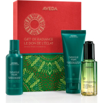 Aveda Holiday Gift of Radiance Botanical Repair&trade; and Miraculous Oil Kinkekomplekt juustele