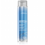Joico Moisture Recovery Niisutav &scaron;ampoon kuivadele juustele 300 ml
