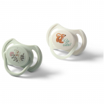 BabyOno Take Care Symmetrical Silicone Soothers lutt Day & Night 6-18m+ 2 tk