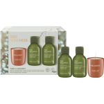 Baylis & Harding Wellness. Energise Kinkekomplekt
