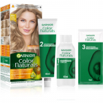 Garnier Color Naturals Creme Juuksev&auml;rv varjund 8.1 1 tk