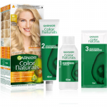 Garnier Color Naturals Creme Juuksev&auml;rv varjund 10 1 tk