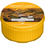 Kringle Candle Amberwood Moss teek&uuml;&uuml;nal 42 g