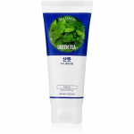 Holika Holika Daily Fresh Green Tea Rasueritust tasakaalustav puhastusvaht rohelise teega 150 ml