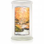 Kringle Candle Amberwood Moss l&otilde;hnak&uuml;&uuml;nal 624 g