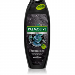 Palmolive Men Refreshing Du&scaron;igeel  Mle kaks-&uuml;hes 500 ml