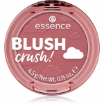 essence BLUSH crush! P&otilde;sepuna varjund Cinnamon Sugar 4.5 g