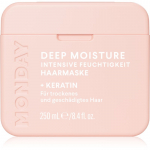 MONDAY Moisture Intensiivselt niisutav mask kuivadele juustele 250 ml