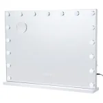 Tualettpeegel valgustusega 80x13.8x62.2 cm valge USB Type C