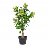 Kunstlill Skimmia puu 75 cm
