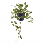 Kunstlill Hoya Carnosa 33 cm