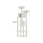 Kassipuu XL 60x50x206 cm kreemjas