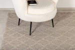 Villane vaip Pilvine 230x160 cm Beež