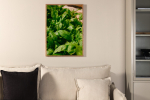 Seinapilt Roheline leht 70x100 cm paberposter koju