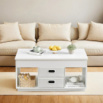 Madal kohvilaud 50x100x48 cm Lumivalge