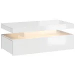 LED kohvilaud hoiuruumiga 100x50x40 cm k&otilde;rgl&auml;ikega valge