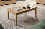 Kohvilaud JANEZ 160x75x90 Artisan