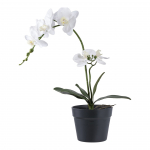 Kunstlill Orhidee 49 cm