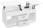 Diivanilaud sahtliga 100x50x48.5 cm Valge