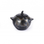 Kann The Burned Jar M must
