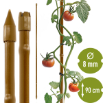 Taimede tugi &ndash; kinnitus &ndash; terasest aiapost PE-kattega, bambusekujul 90 cm &times; 8 mm 720418 Bioogrod