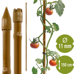 Terasest aiapost bambuse kujuline BIOOGROD 720419 1,5 m x 11 mm