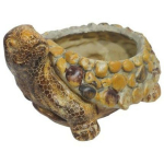 Besk Aia dekor puude pott Kilpkonn 9125090, 23x17x13cm, vastupidav materjal, sobib &otilde;ues